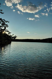 Walden Pond Summer Evening 2