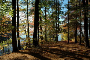 Walden Pond From Thoreau Cabin Site 6