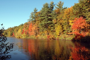 Fall Colors at Thoreau Cove 11