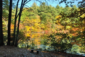 Bench at Fairyland Pond 7