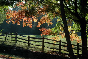 Roadside Colors 10